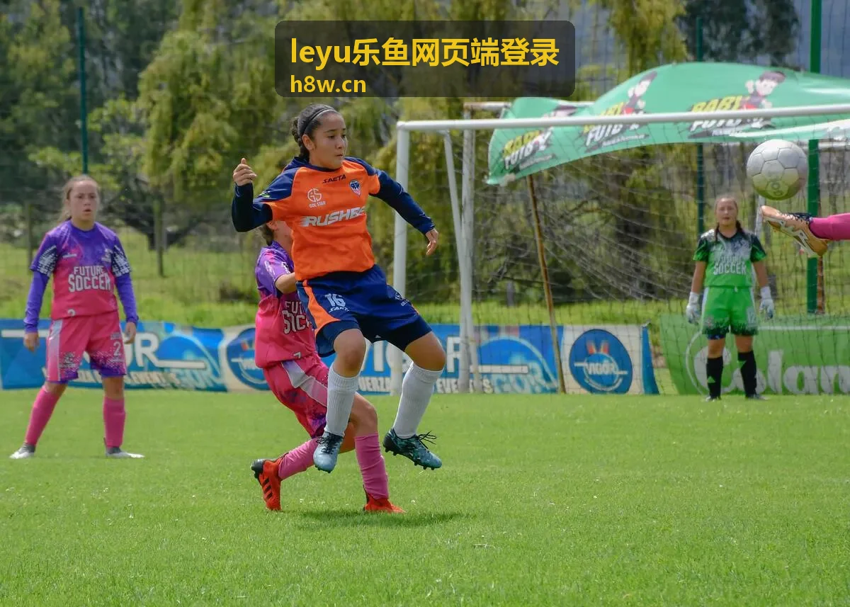 leyu乐鱼网页端登录登录安全审计